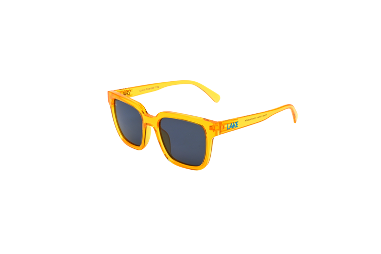 Powell Polarized Sunglasses