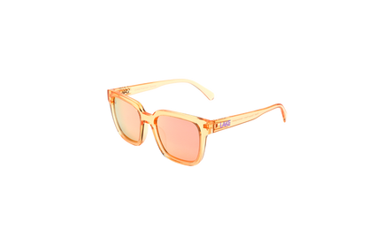Powell Polarized Sunglasses