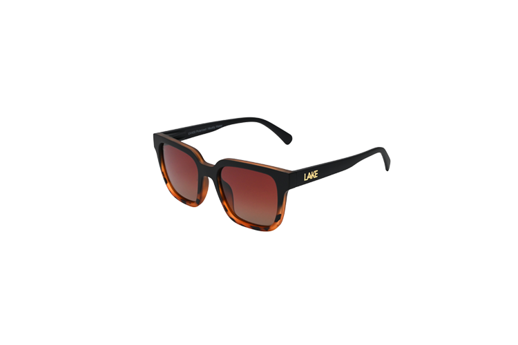 Powell Tortoise Fade