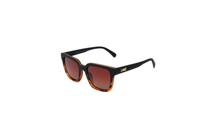 Powell Tortoise Fade