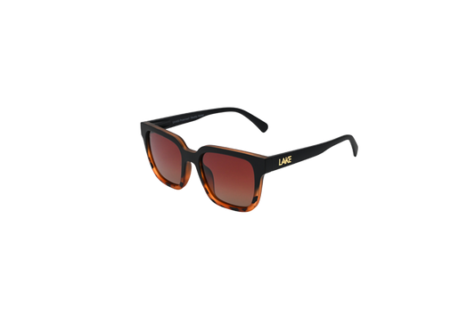 Powell Tortoise Fade