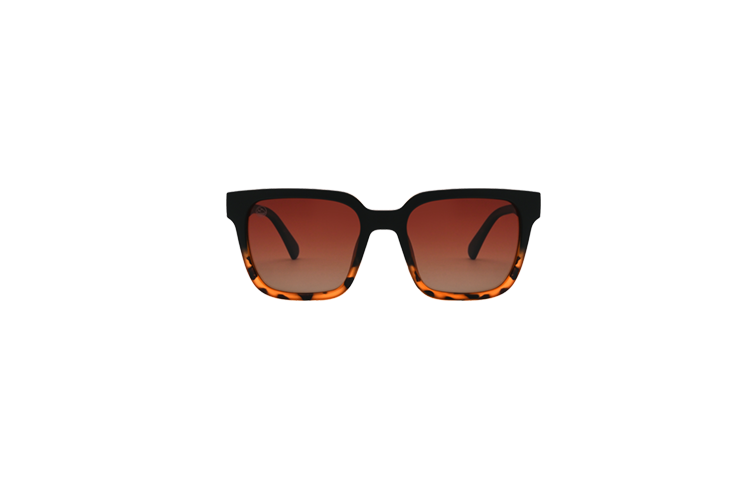 Powell Tortoise Fade