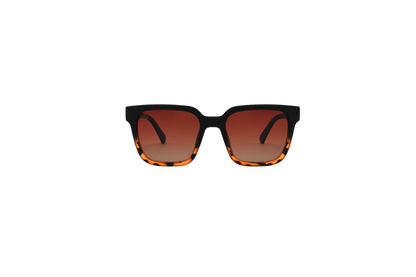 Powell Tortoise Fade