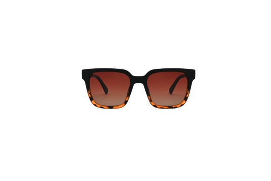 Powell Tortoise Fade